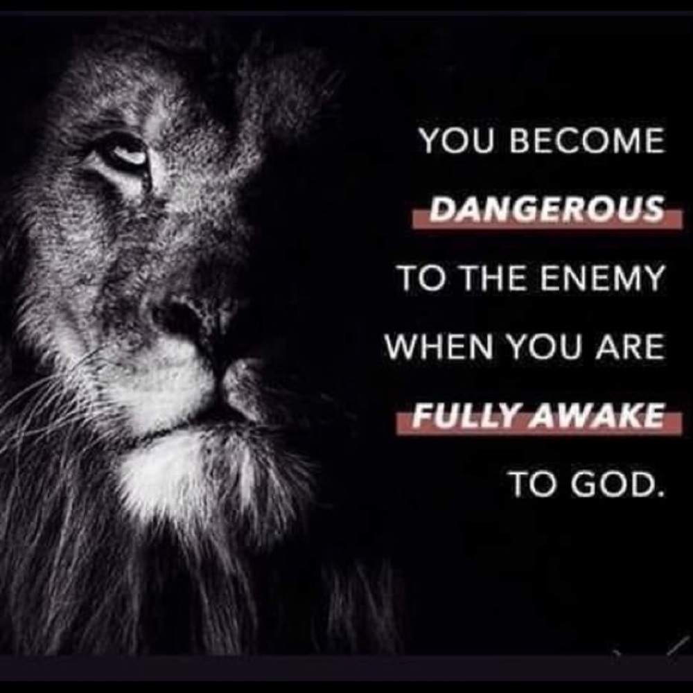 Meet your Posher, Alysha